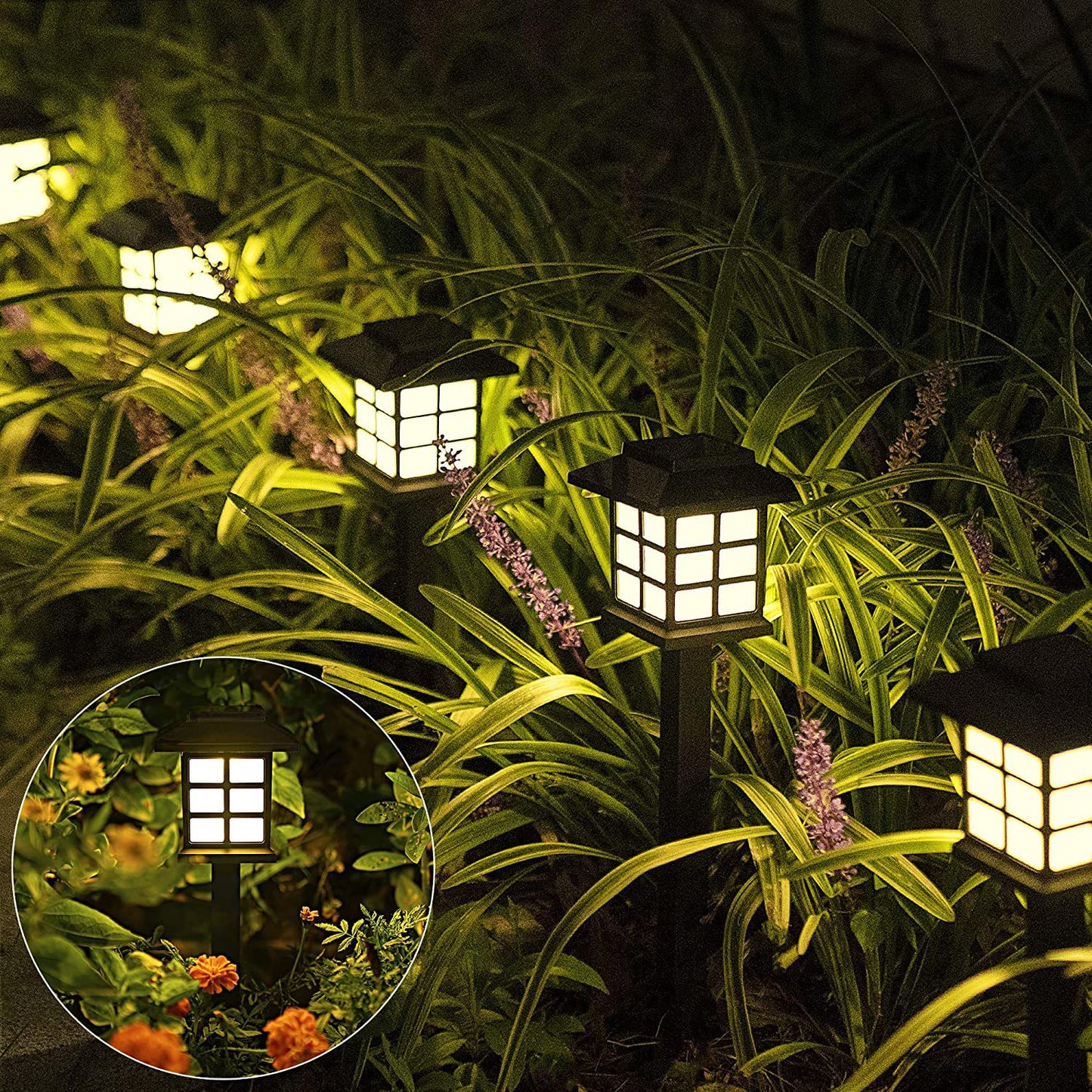 Solar LED lawn light