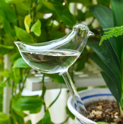 Glass watering device for plant