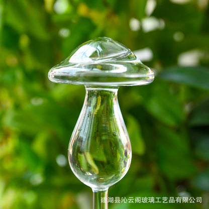 Glass watering device for plant