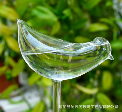 Glass watering device for plant