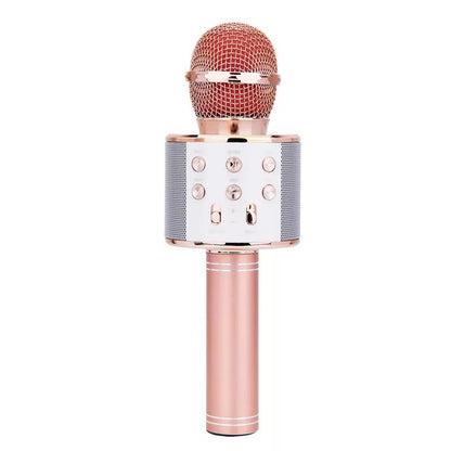 Bluetooth Karaoke Microphone