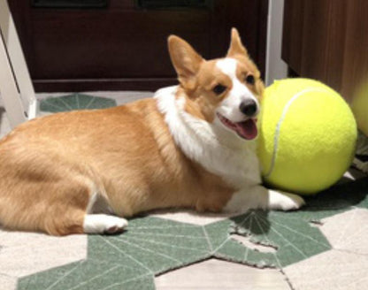 Pet Oversized Ball Toy