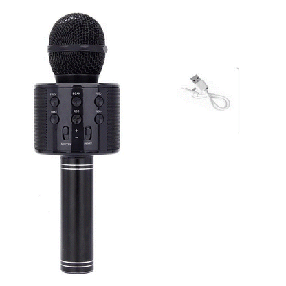 Bluetooth Karaoke Microphone