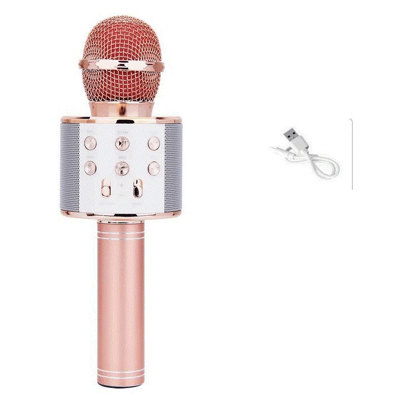 Bluetooth Karaoke Microphone