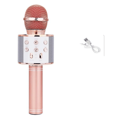 Bluetooth Karaoke Microphone