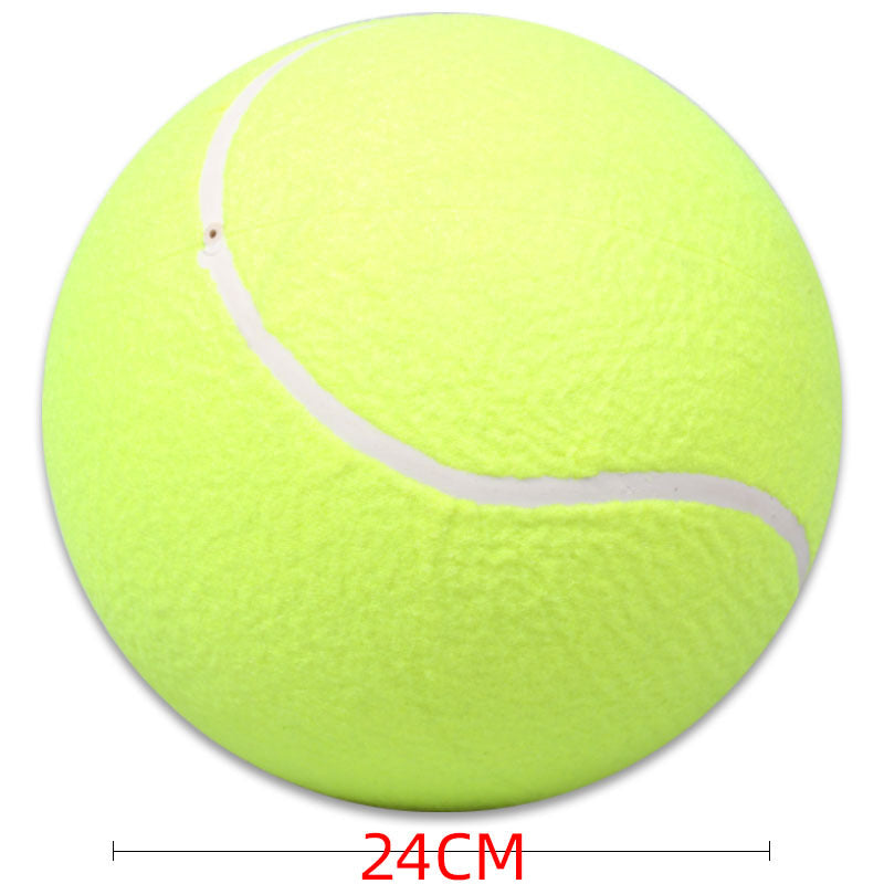 Pet Oversized Ball Toy