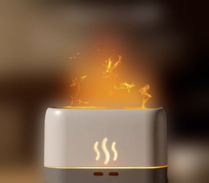 Flame humidifier